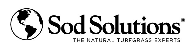 Weed Control with Celsius WG Herbicide - Fights Over 150 Weeds